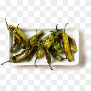 How To Cook Shishito Peppers - Bird's Eye Chili Clipart