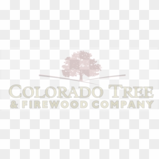 Colorado Tree And Firewood 682 0462 Or (719) 680 1071 - Wawel Cathedral Clipart