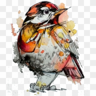 Watercolor Painting Artist Sparrow - Ink And Watercolor Art Clipart