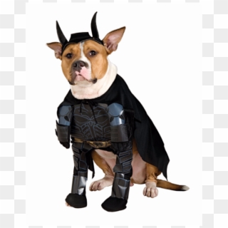 Dog In Batman Costume Costume Model Ideas - Superhero Dog Costume Clipart