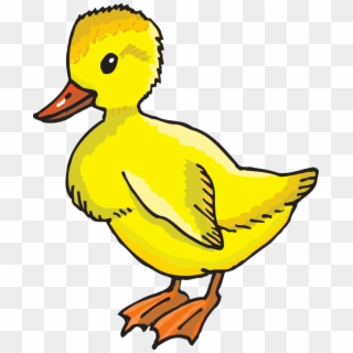 Yellow Duckling - Yellow Duck Clip Art - Png Download