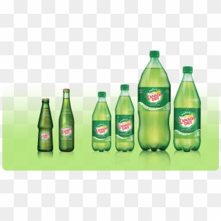 Canada Dry Ginger Ale Products In Different Bottle - Pop Bottle Sizes Canada Clipart