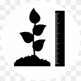 Plant Height Icon - Plant Physiology Icon Png Clipart