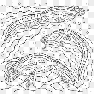 Reptile Coloring Pages - Line Art Clipart