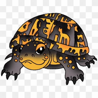 Reptile Clipart Turle - Box Turtle Clip Art - Png Download