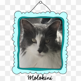 Snowshoe Clipart