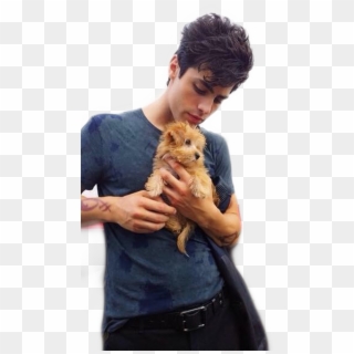34 Images About Shadowhunters ➰ On We Heart It - Matthew Daddario Cute Clipart