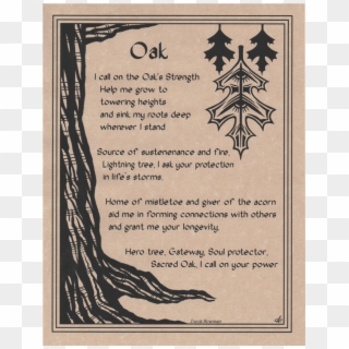 Oak Prayer Parchment Poster - Post Oak Tree Magical Properties Clipart
