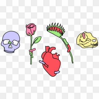 A Drawing Of A Skull, A Rose, A Heart, A Venus Fly Clipart