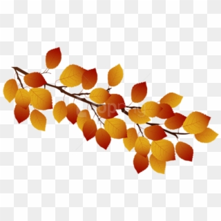Free Png Download Autumn Branch Clipart Png Photo Png - Transparent Autumn Branch Clipart