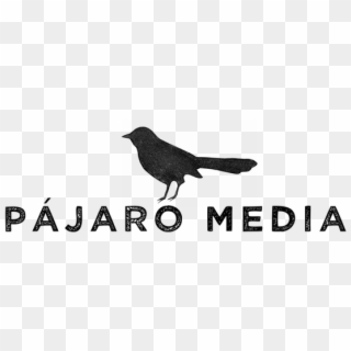 Pm Logo 02 Png - Blackbird Clipart