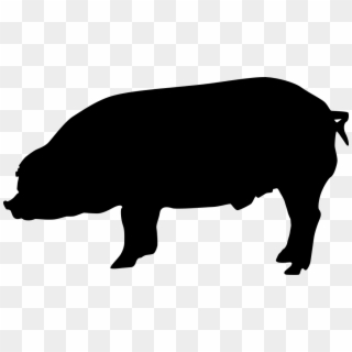 Eber Robust 301 Silhouette - Duroc Pig Silhouette Clipart
