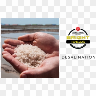 Bright Ideas A Better Way To Desalinate Ocean Water - Sea Salt Clipart