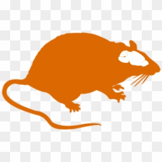 Rat Brain Clipart - Silhouette Of Rat - Png Download