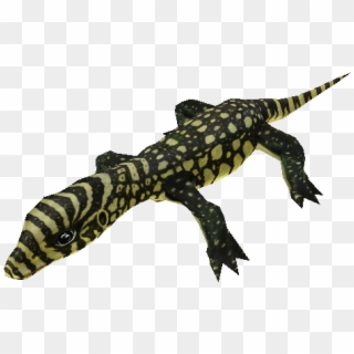 Monitor Lizard Png - Whiptail Clipart