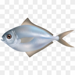 Grey Butter Fish Png Clipart Image - Fish Png Transparent Png