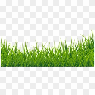 Clipart Clip Art Library - Grass Clipart - Png Download