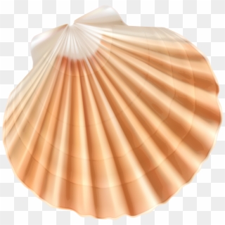 Sea Shell Png Clipart Image - Sea Shell With Transparent Background