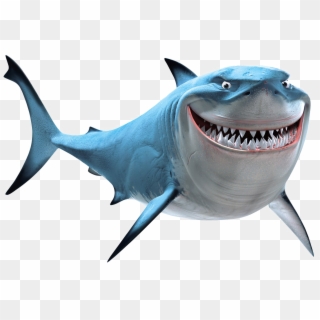 Shark Png Image Clipart