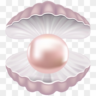 Pearl Shell Transparent Png Clip Art Image - Pearl With Shell Png