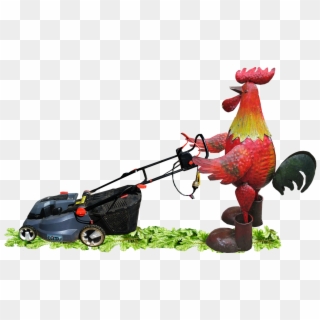 Rooster Mowing Grass - Rooster Mowing Lawn Clipart