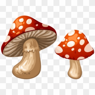 Free Png Download Mushrooms Clipart Png Photo Png Images - Transparent Background Mushroom Clipart Transparent