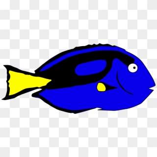 Clip Art Cool Dory Clip Art Dory Clip Art - Blue Tang Fish Clip Art - Png Download