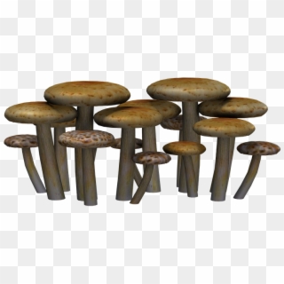 Mushrooms, Fantasy, Digital Art, Isolated, Png - Mushrooms Png Clipart