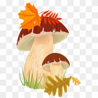 Fall Mushrooms Png Clipart Picture - Autumn Mushrooms Png Transparent Png