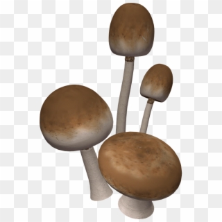 Brown Mushrooms - Mushroom Clipart