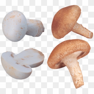 Download Orange And White Mushrooms Png Images Background - 香菇 Clipart