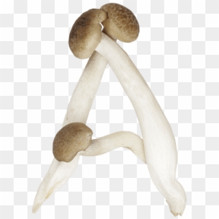 Mushrooms Font - Mushrooms Letters Clipart