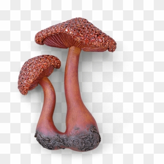 Red Mushroom Brooch - Shiitake Clipart