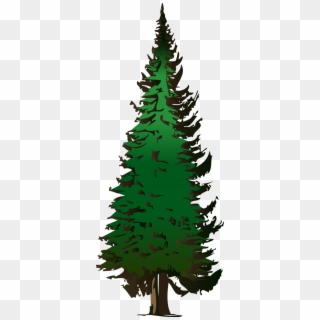 Pine Tree Vector Free Download - Fir Tree Clipart - Png Download