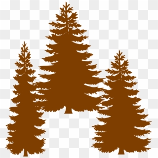 Pine Fir Tree Evergreen Clip Art - Pine Tree Vector Png Transparent Png