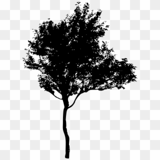 Tree Silhouette Png 45 Tree Silhouettes Png Transparent - Dark Tree No Background Clipart
