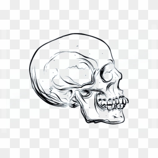 700 X 490 5 - Vector Skulls Clipart