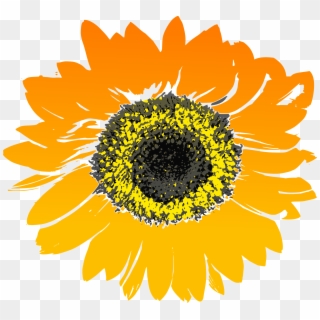 Sunflower Clip Art Library Library - Sunflower Drawing No Background - Png Download