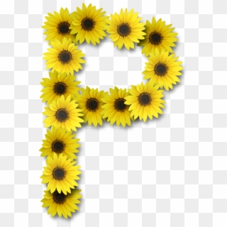 Alfabeto Sunflowers P Alpha Flowers Pinterest Alphabet - Letter P Sunflower Clipart
