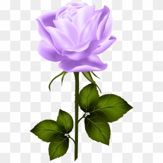 Purple Rose With Stem Png Clip Art - Pink Rose With Stem Transparent Png