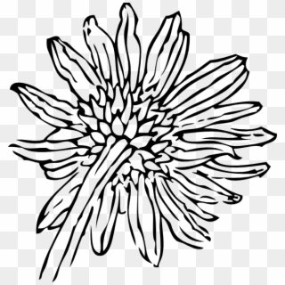 Drawn Sunflower Transparent - Sunflower Clip Art - Png Download