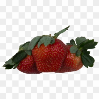 Strawberry Clipart