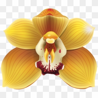 Yellow Orchid Png Clipart - Yellow Orchids Png Transparent Png