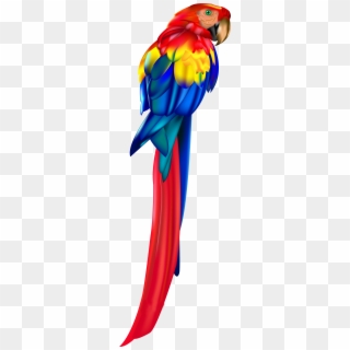 Red Parrot Png Clipart - Parrot Transparent Png