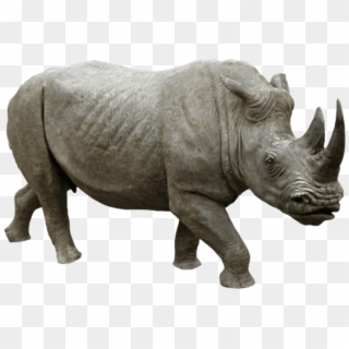 Download Rhino Running Png Images Background - Rhinoceros Png Clipart
