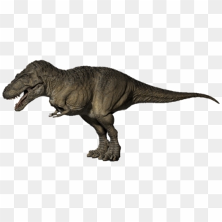 T Rex Triceratops - Ankylosaurus Last Day Of The Dinosaurs Clipart