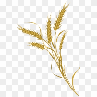 The Freighthouse In Lyndonville, Vermont - Bundled Wheat Transparent Png Clipart