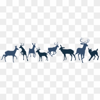 Reindeer Herd Transparent Clipart