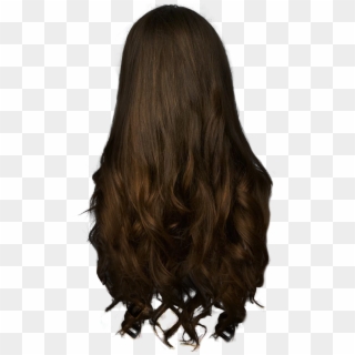 Women Hair - Back Of Hair Png Clipart