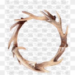 Deer , Png Download Clipart